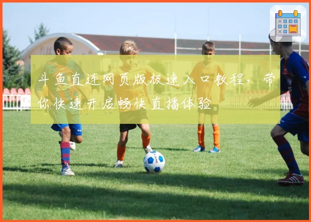 斗鱼直连网页版极速入口教程，带你快速开启畅快直播体验