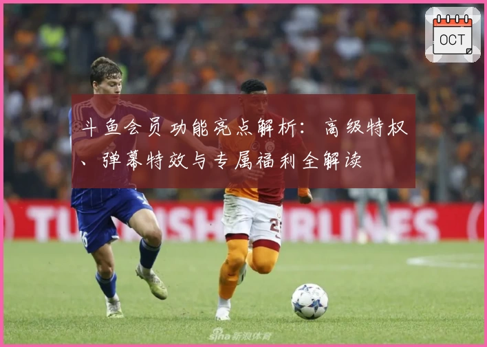 斗鱼会员功能亮点解析:高级特权、弹幕特效与专属福利全解读