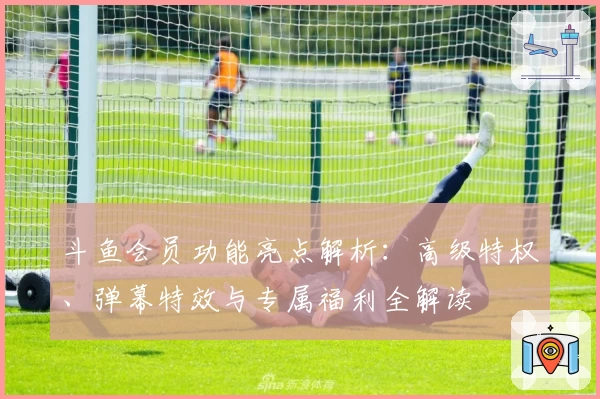 斗鱼会员功能亮点解析：高级特权、弹幕特效与专属福利全解读