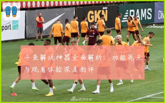 斗鱼解说神器全面解析：功能亮点与观看体验深度测评