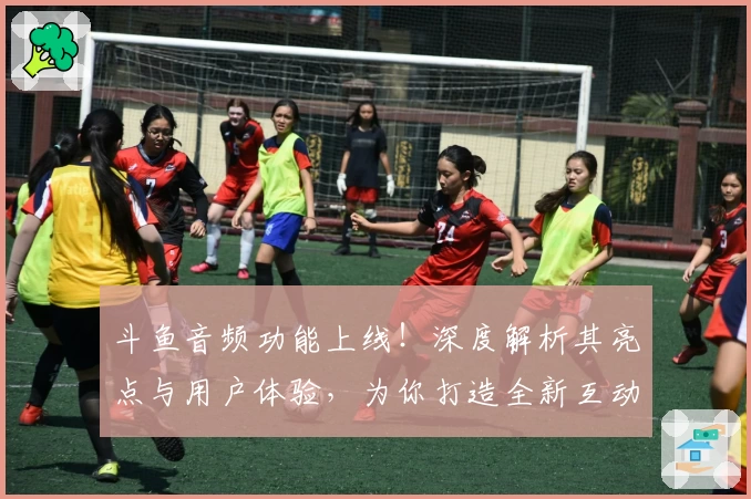 斗鱼音频功能上线！深度解析其亮点与用户体验，为你打造全新互动方式