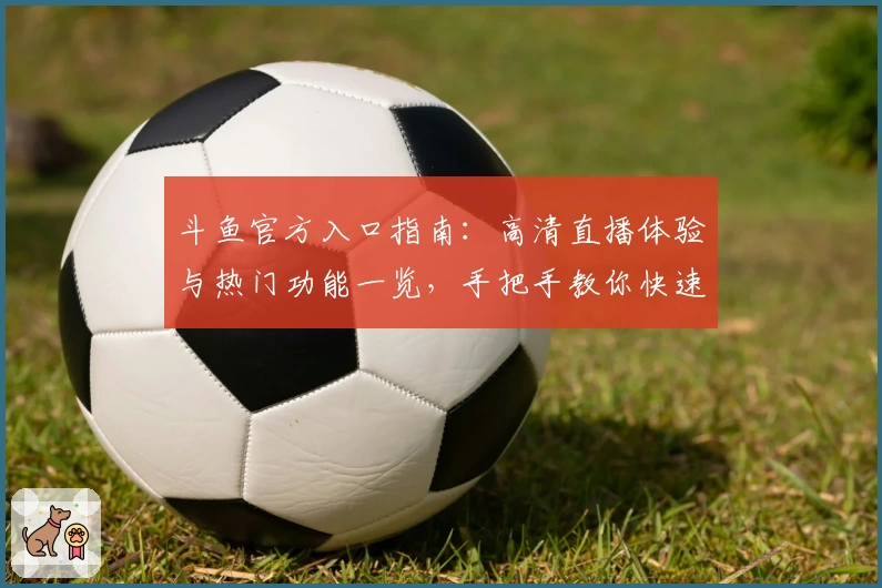 斗鱼官方入口指南：高清直播体验与热门功能一览，手把手教你快速上手