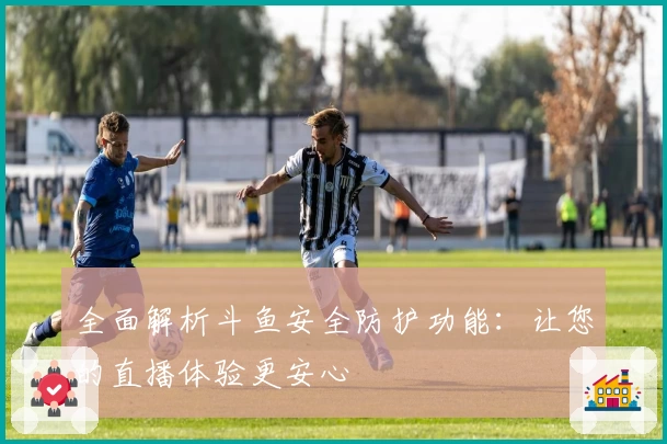 全面解析斗鱼安全防护功能：让您的直播体验更安心