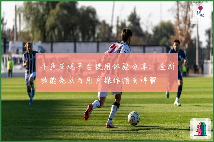 斗鱼正规平台使用体验分享：全新功能亮点与用户操作指南详解