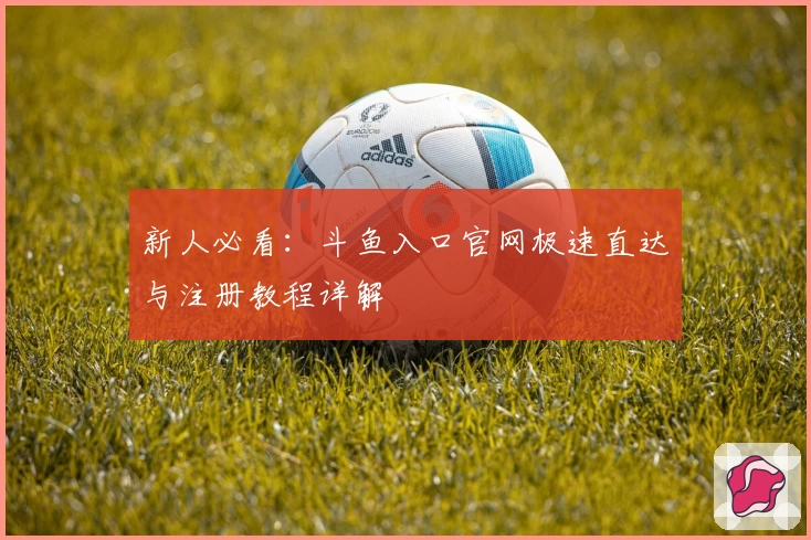 新人必看：斗鱼入口官网极速直达与注册教程详解