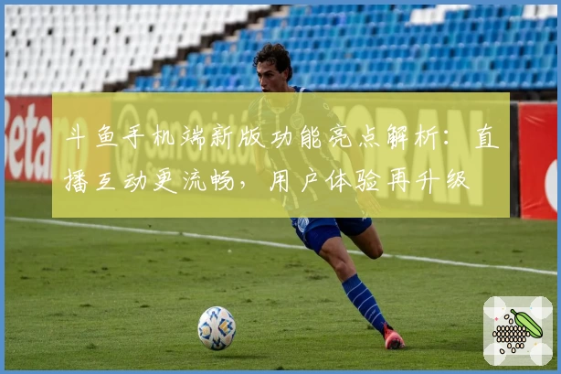 斗鱼手机端新版功能亮点解析：直播互动更流畅，用户体验再升级